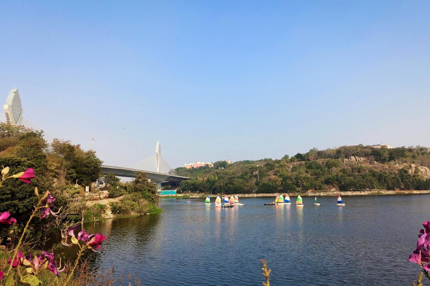 Boats on the lake beside the Durgam Cheruvu cable bridge